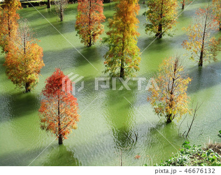 景色 風景 自然 46676132