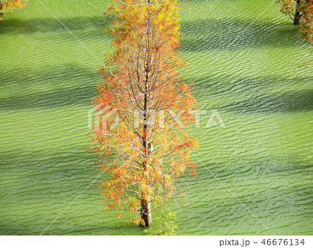 景色 風景 自然 46676134