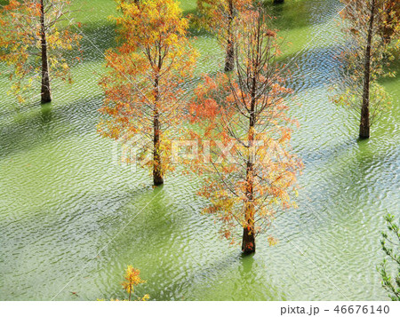 景色 風景 自然 46676140