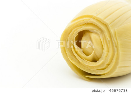 アーティチョークの芯: Artichoke hearts アーティチョークの芯: Artichoke hearts 46676753