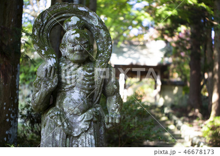 両子寺仁王像 46678173