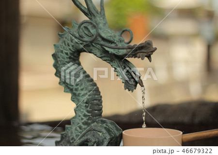 手水舎の龍 46679322