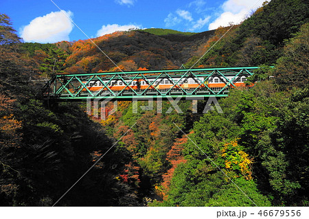 12月 箱根135早川橋梁(出山の鉄橋)紅葉と箱根登山電車 12月 箱根135早川橋梁(出山の鉄橋)紅葉と箱根登山電車 46679556