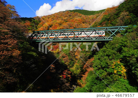 12月　箱根134早川橋梁(出山の鉄橋)紅葉と箱根登山電車 46679557