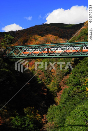 12月　箱根133早川橋梁(出山の鉄橋)紅葉と箱根登山電車 46679558