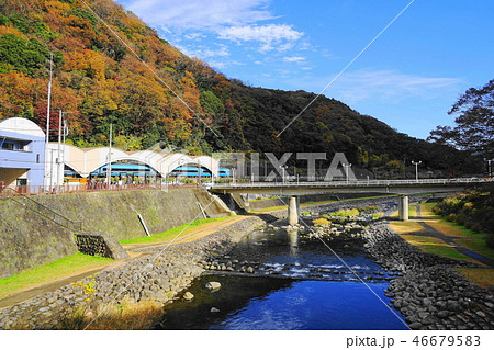12月 箱根108箱根湯本駅の紅葉 12月 箱根108箱根湯本駅の紅葉 46679583