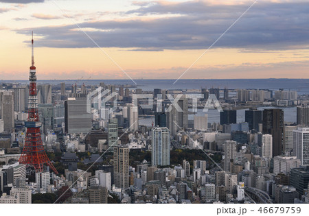 日本の東京都市景観　東京タワーなど街並みを望む 46679759