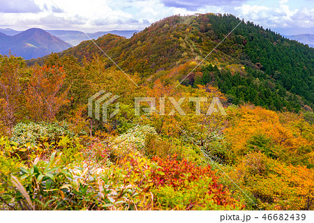 井水山～泉山縦走ルートから、泉山を見上げる！（岡山県苫田郡鏡野町奥津)※作品コメント欄に撮影位置 46682439