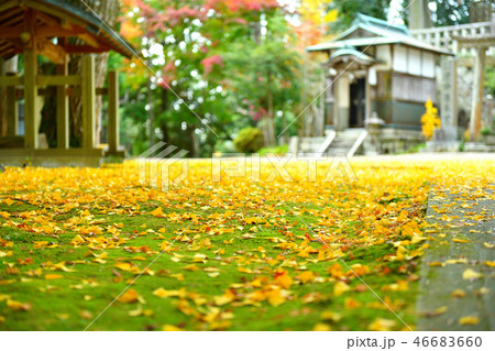 庚申山広徳寺 紅葉2018 庚申山広徳寺 紅葉2018 46683660