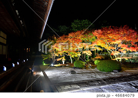 妙顕寺紅葉2018 46684079