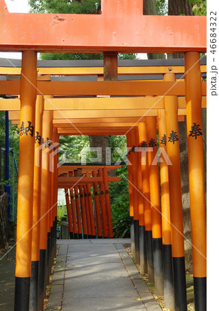 花園稲荷神社(上野) 花園稲荷神社(上野) 46684322