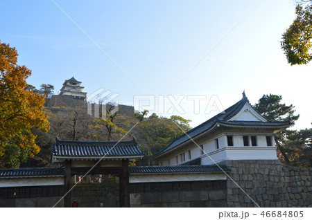 大手二の丸付近から見上げた丸亀城の天守閣（香川県丸亀市） 46684805