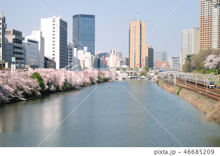 外堀に咲く桜と中央線快速電車 46685209