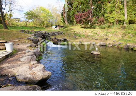 釣り堀　ニジマス　虹鱒　発知川　発知渓流つりセンター 46685226