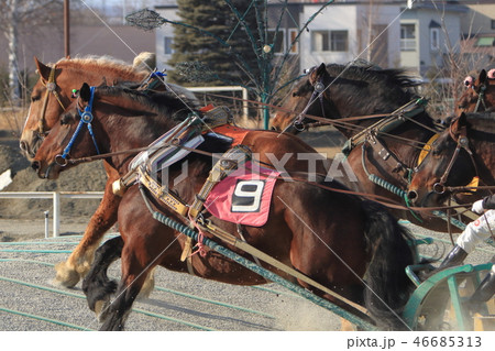 帯広・十勝、ばんえい競馬 46685313