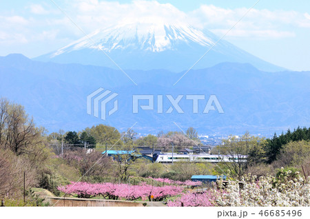 残雪の富士山をバックに新府桃源郷を走るE353系特急スーパーあずさ 残雪の富士山をバックに新府桃源郷を走るE353系特急スーパーあずさ 46685496