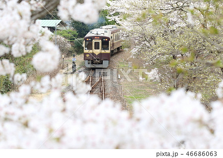 わたらせ渓谷鐵道「春の沢入駅からの眺め」桜に包まれて 46686063