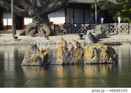 南湖の「仙磯(せんぎ)」(栗林公園/香川県高松市) 南湖の「仙磯(せんぎ)」(栗林公園/香川県高松市) 46686195