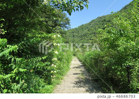 JR福知山線廃線跡 46686703