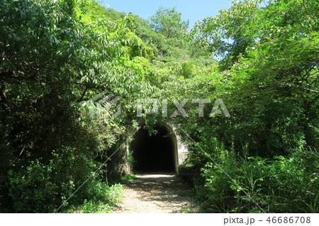 JR福知山線廃線跡 JR福知山線廃線跡 46686708