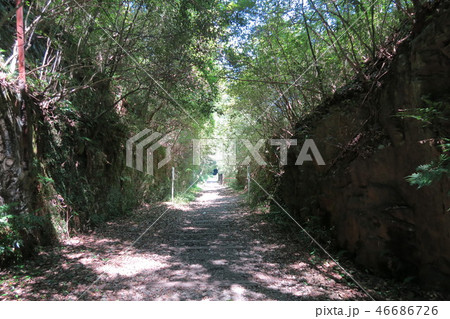 JR福知山線廃線跡 JR福知山線廃線跡 46686726