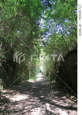 JR福知山線廃線跡 JR福知山線廃線跡 46686727