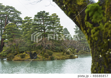 石川　金沢の兼六園　霞ヶ池の蓬莱島 46686857