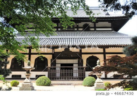 曹源寺仏殿 46687430