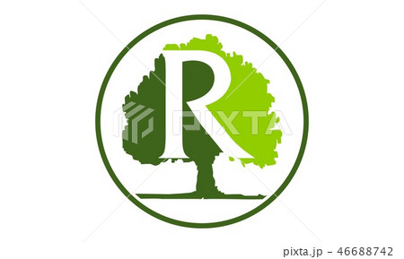 Oak Tree Letter R 46688742