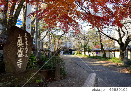 東京都杉並区梅里の真盛寺 46689102