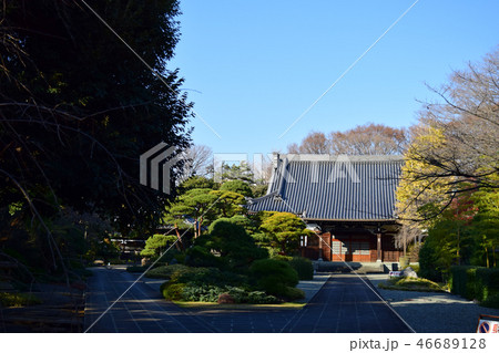 東京都杉並区梅里 真盛寺の境内 東京都杉並区梅里 真盛寺の境内 46689128