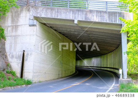 覆道 46689338
