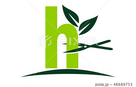 Letter H Lawn 46689753