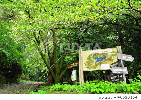 城山湖周辺散策路と案内板 46690164