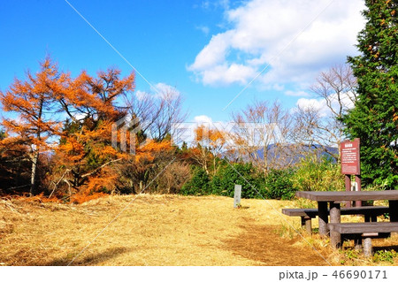箱根の鷹巣山頂上と黄葉 箱根の鷹巣山頂上と黄葉 46690171
