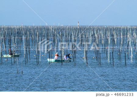 大牟田市 三池港 海苔船、 大牟田市 三池港 海苔船、 46691233