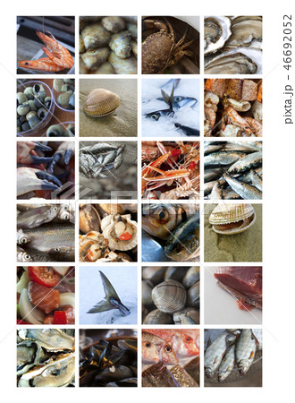 Fishes and crustaceans Fishes and crustaceans 46692052