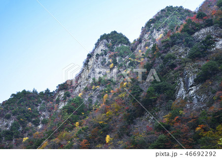 紅葉の竜ヶ岳 紅葉の竜ヶ岳 46692292