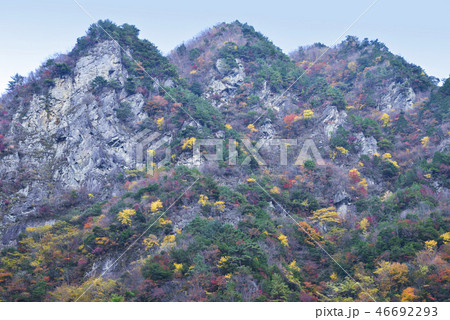 紅葉の竜ヶ岳 紅葉の竜ヶ岳 46692293
