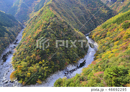 紅葉色づく祖谷渓谷 46692295