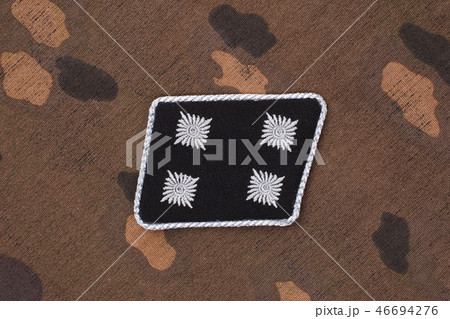 WW2 German Waffen-SS military insignia  46694276
