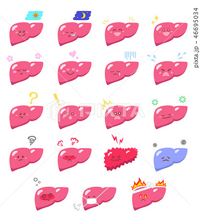 表情豊かな肝臓　ふちなし 46695034