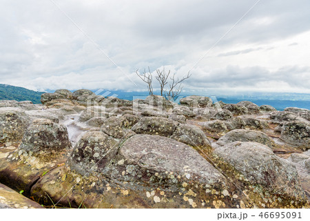 Lan Hin Pum 46695091