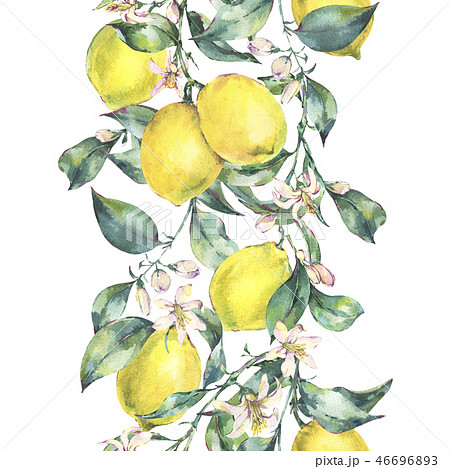 Watercolor vintage vertical seamless border of lemon fruit 46696893