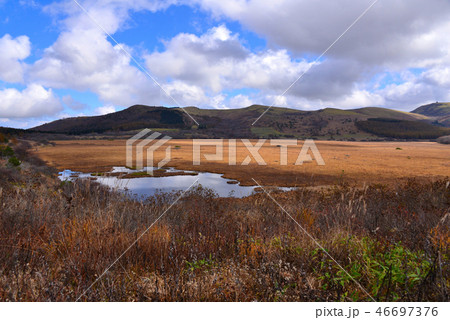 八島ヶ原高層湿原 46697376
