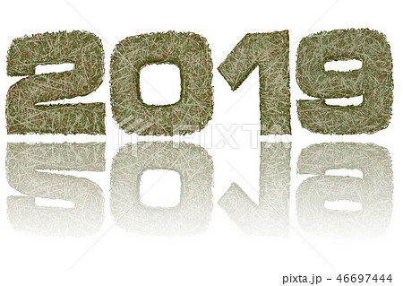 2019 digits composed of military camouflage 2019 digits composed of military camouflage 46697444