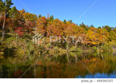 八千穂高原自然園の紅葉 46698305