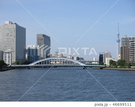 中央区の石川島公園にあるパリ広場からの眺め（隅田川・永代橋・東京スカイツリー） 46699511