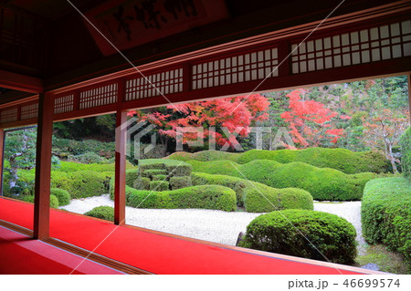 紅葉の大池寺 46699574