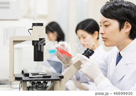 研究室 開発 実験室 臨床検査 バイオテクノロジー 新薬 研究室 開発 実験室 臨床検査 バイオテクノロジー 新薬 46699930